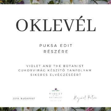 HAJNAL PETRA<BR>Violet and the botanist